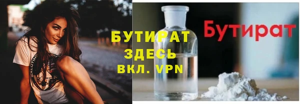 гидра Вяземский