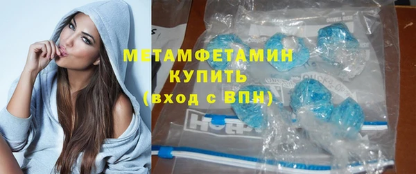 индика Нея